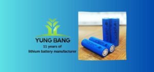 Sind wiederaufladbare 3,7-V-Batterien kompatibel 01