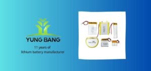 batterie li polymer 3.7 v 11