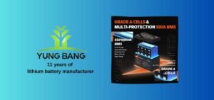 li time battery review 21
